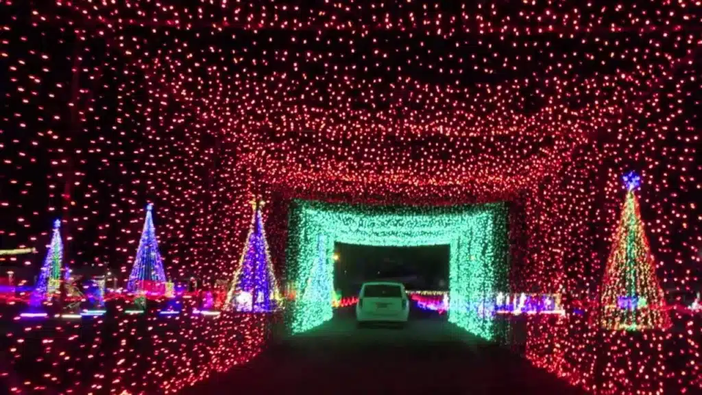 Holiday Light Tour - Simba Luxury